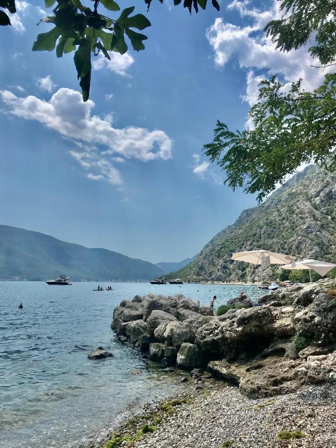 Lemon Tree Villa Kotor Exterior foto