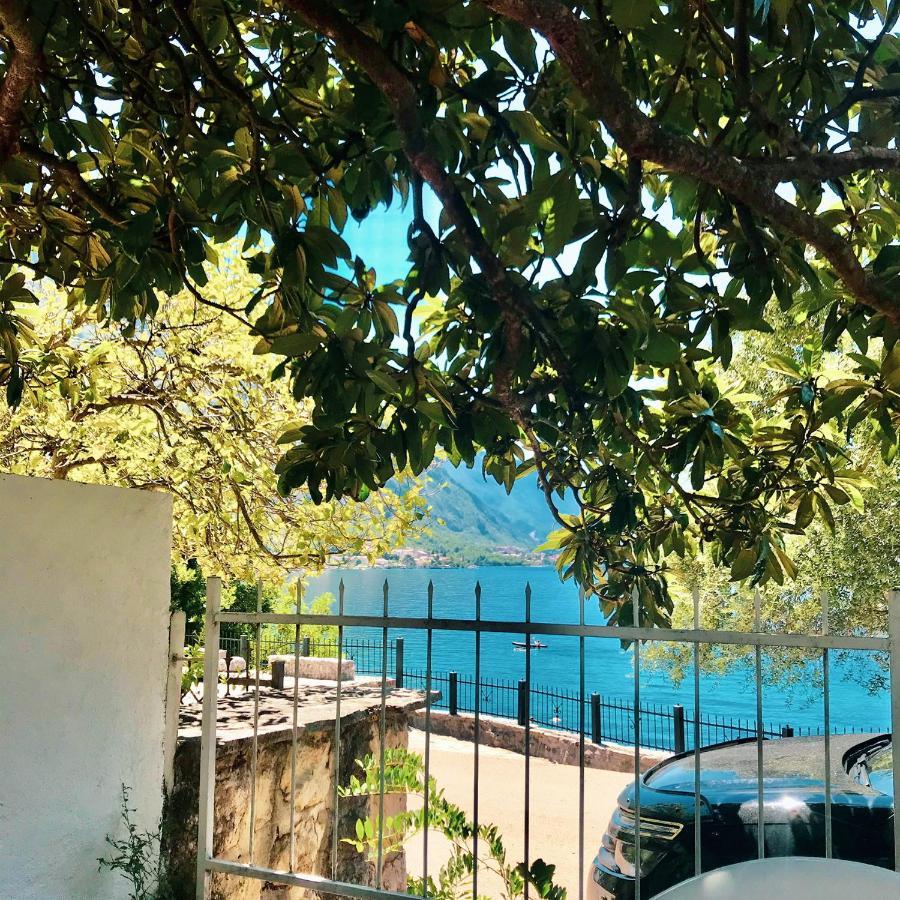 Lemon Tree Villa Kotor Exterior foto