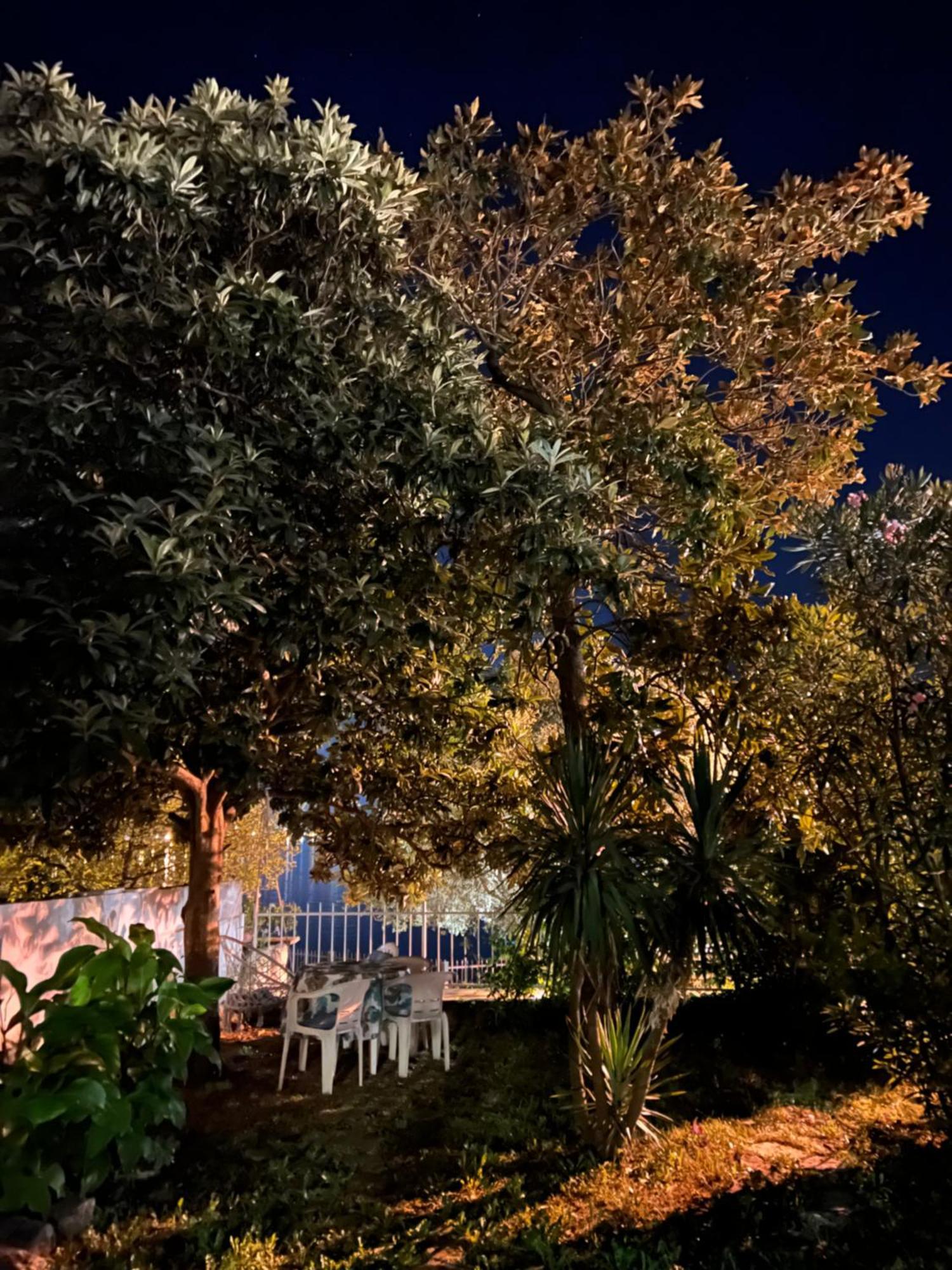 Lemon Tree Villa Kotor Exterior foto