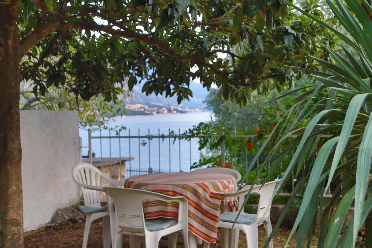Lemon Tree Villa Kotor Exterior foto